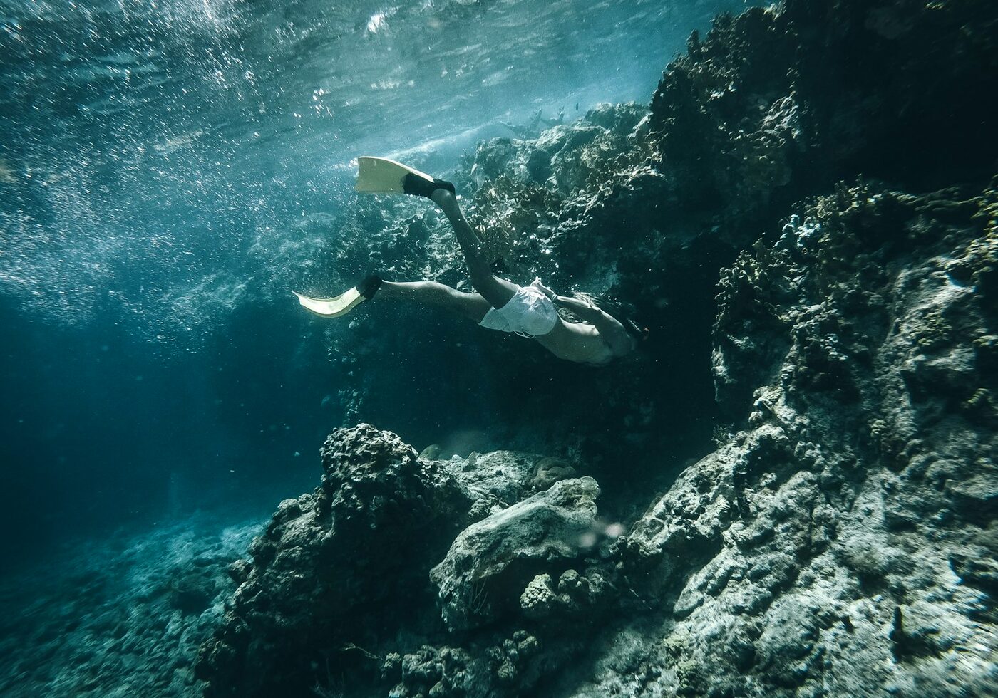 A snorkeller gliding over a coral reef in clear tropical water