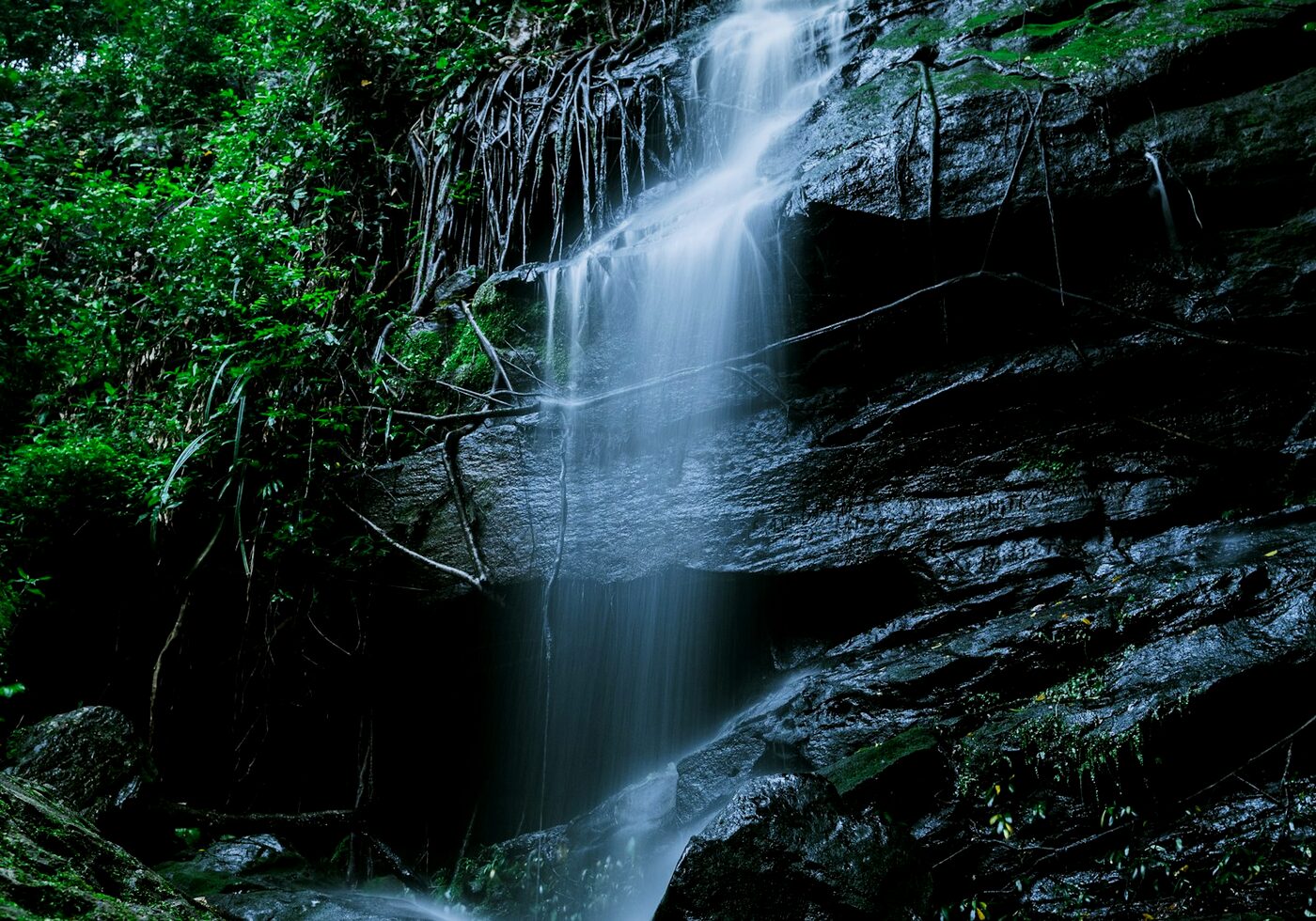 A jungle waterfall tumbling over mossy rocks in dense rainforest
